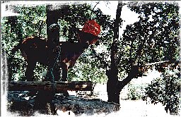 Clairette et son joli chapeau de printemps