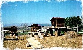 Le "Biquettes-Village" de l'association "Tout Crin-Tout Poil"